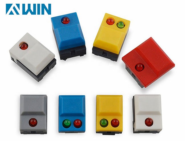 Illuminated push button switch